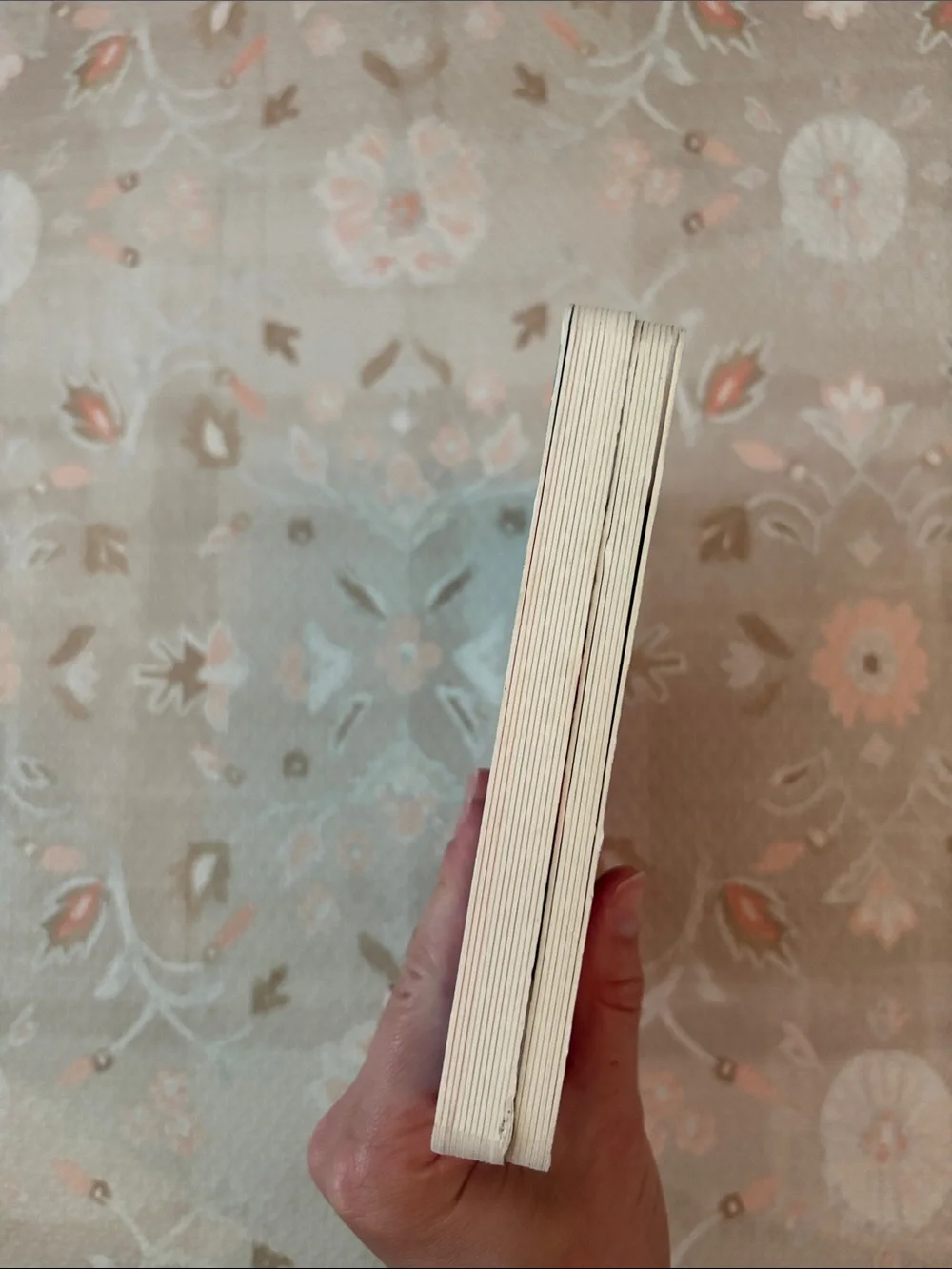 LOVEVERY board book